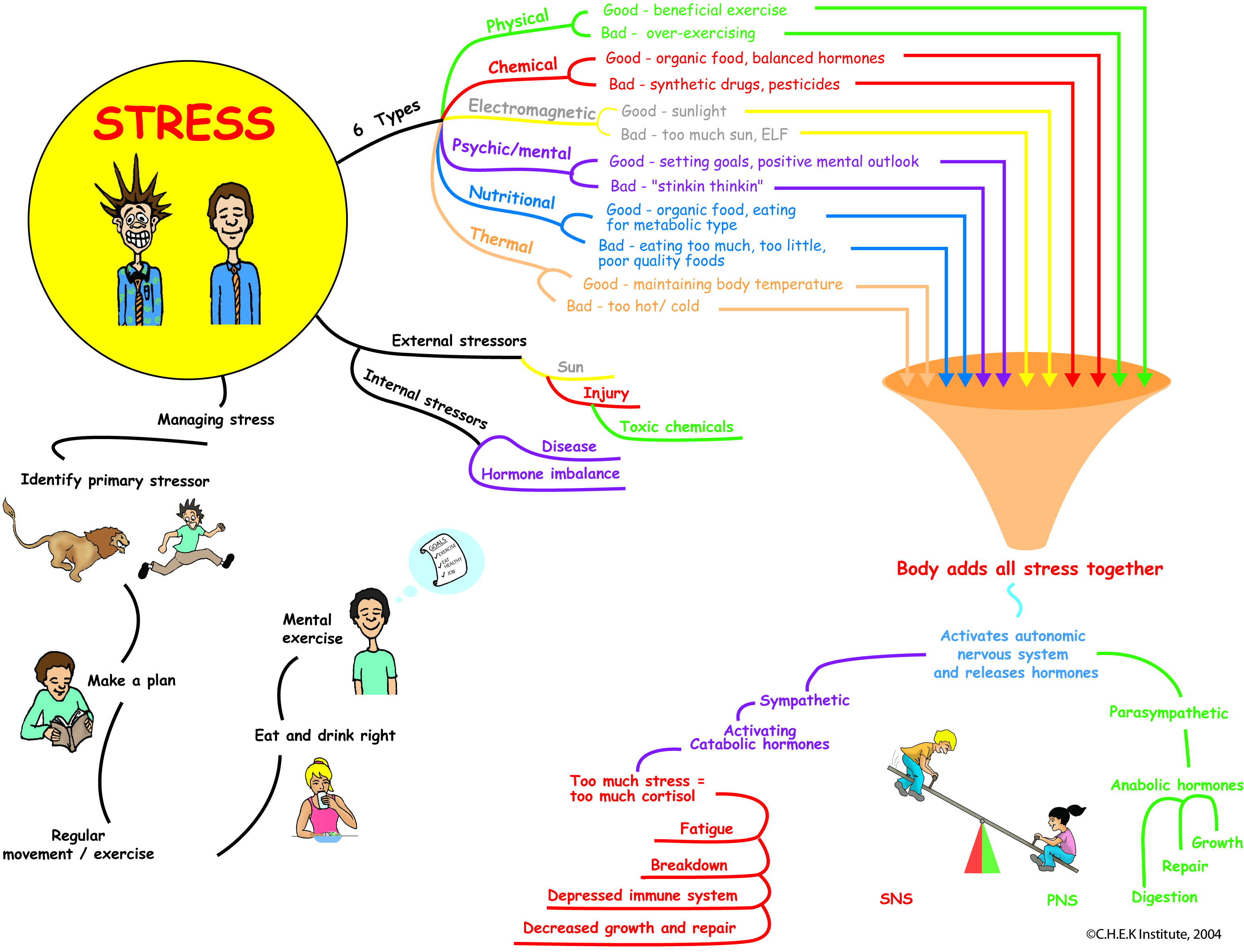 Types of Stress