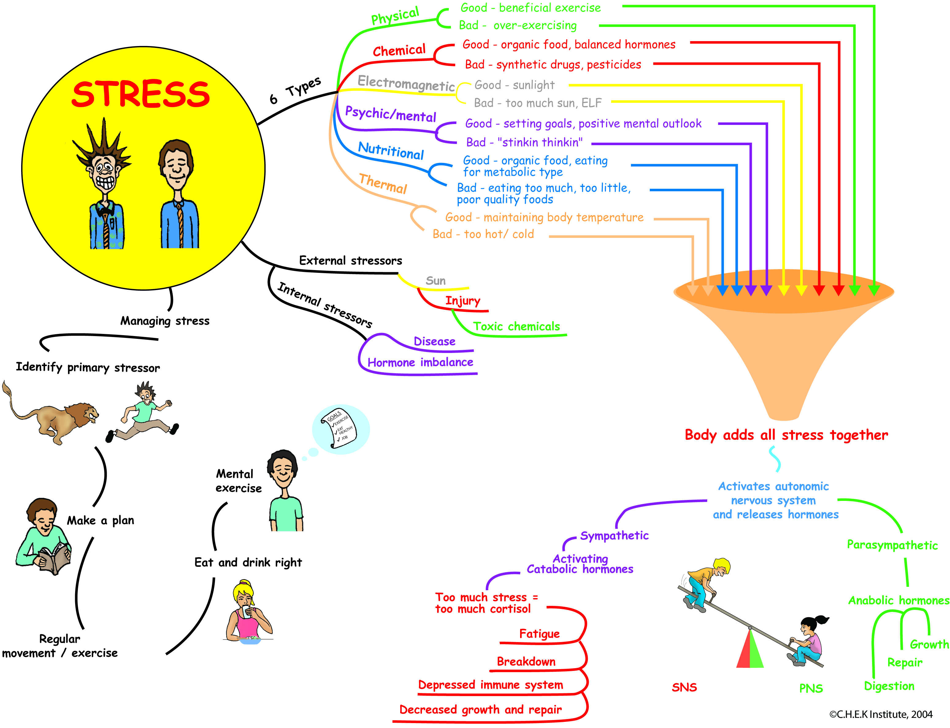 types-of-stress-upright-movement