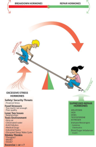 Balancing Stress Training