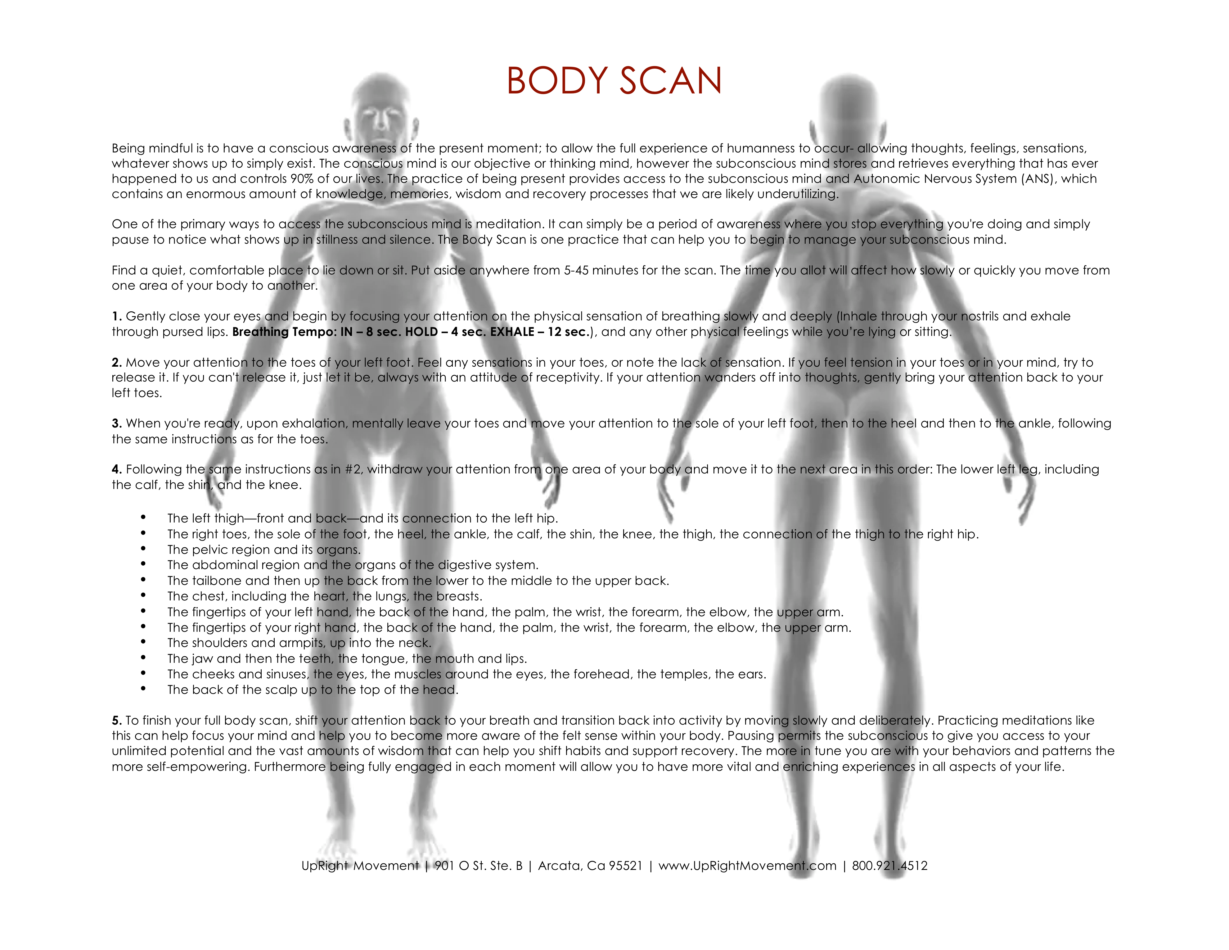 Body Scan Worksheet